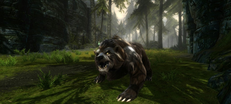 Dat Bear Doh...